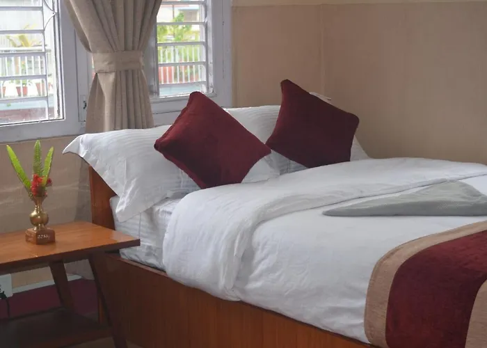Delight - Thamel Bed and breakfast Katmandú