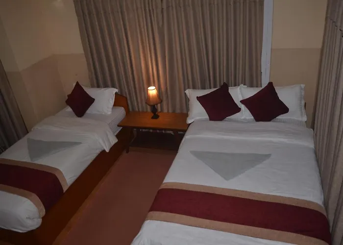 Delight - Thamel Bed and breakfast 2*
